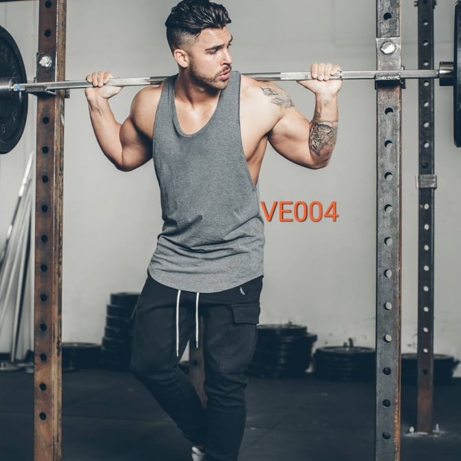VE004